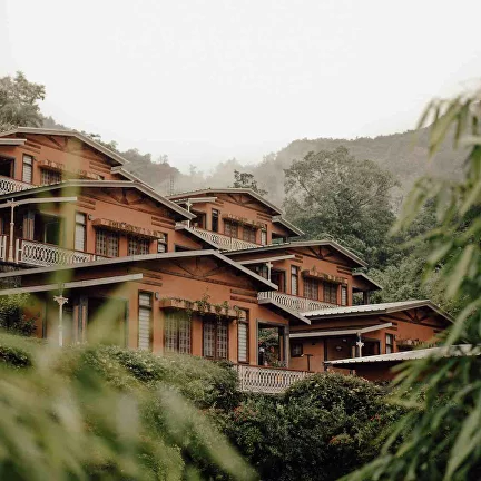 Abhayaranya Yoga Ashram a yoga school registered with Yoga Alliance as RYS 200, 300 & 500.
